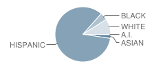 Armour Elementary School Student Race Distribution