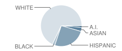 Onahan Elementary School Student Race Distribution