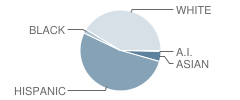 Smyser Elementary School Student Race Distribution