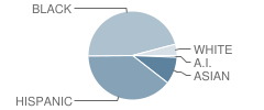 Stockton Elementary School Student Race Distribution