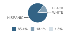 Taylor Elementary School Student Race Distribution