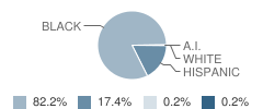 Thorp, J N Elementary School Student Race Distribution