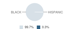 Tilton Elementary School Student Race Distribution