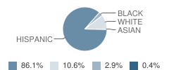Washington, G Elementary School Student Race Distribution