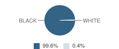 Yale Elementary School Student Race Distribution