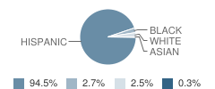 Lara Elementary Academy Student Race Distribution