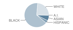 Lenart Elementary Regional Gifted Center School Student Race Distribution