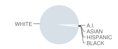 Hamilton County High School (Junior / Senior) Student Race Distribution