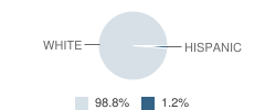 Franklin High School (Junior / Senior) Student Race Distribution