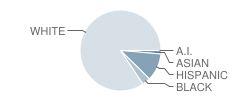 Lyons Township (Twp) High School Student Race Distribution