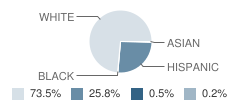 Mendota Township (Twp) High School Student Race Distribution