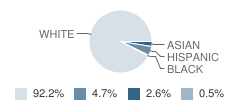Theodore Roosevelt Elementary School Student Race Distribution