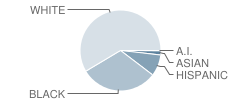 Rantoul Township (Twp) High School Student Race Distribution