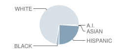 Rochelle Township (Twp) High School Student Race Distribution