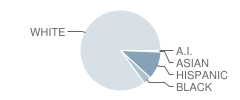Streator Township (Twp) High School Student Race Distribution
