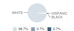 Okawville High School (Junior / Senior) Student Race Distribution