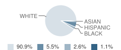 Wethersfield High School (Junior / Senior) Student Race Distribution