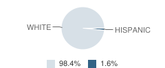 New Boston Elementary School Student Race Distribution