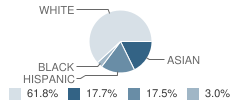 Cambridge Lake Charter School Student Race Distribution