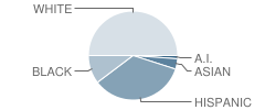 Disney Ii Elementary School Student Race Distribution