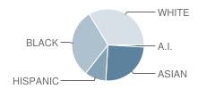 Skinner North Elementary School Student Race Distribution