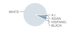 Washington Township (Twp) Middle / High School Student Race Distribution