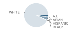 Washington Township (Twp) Elementary School Student Race Distribution