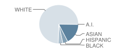 West Lafayette High School (Junior / Senior) Student Race Distribution