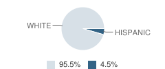 Tescott Elementary School Student Race Distribution