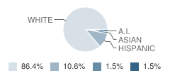 Cheylin West High School (Junior / Senior) Student Race Distribution
