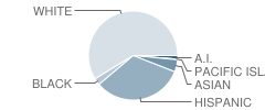 Village Elementary School Student Race Distribution