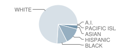 Macarthur Elementary School Student Race Distribution