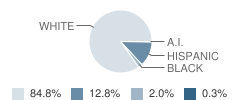Lincoln Elementary School Student Race Distribution