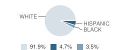 Hill City Elementary School Student Race Distribution