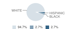 Wilson High School (Junior / Senior) Student Race Distribution