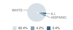 Inman High School (Junior / Senior) Student Race Distribution