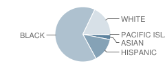 John F Kennedy Elementary School Student Race Distribution