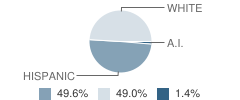 Southwestern Heights High School (Junior / Senior) Student Race Distribution
