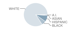 Lansing Middle 6-8 School Student Race Distribution
