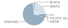 Liberal Sr High School Student Race Distribution