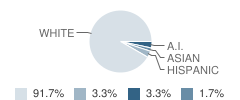 Centre High School (Junior / Senior) Student Race Distribution