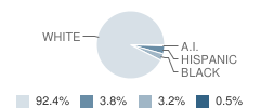 Oxford High School (Junior / Senior) Student Race Distribution