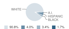 Peabody-Burns High School (Junior / Senior) Student Race Distribution