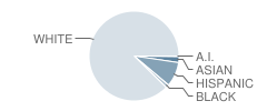 Stewart Elementary School Student Race Distribution