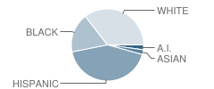 Hamilton Middle School Student Race Distribution