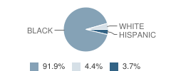 M. Holman Academy of Excellence Charter Student Race Distribution