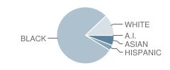 Broadmoor High School Student Race Distribution