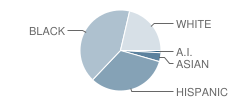 Monument High School Student Race Distribution