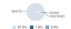 Center School Student Race Distribution