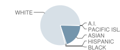 Stony Brook School Student Race Distribution